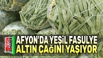 Afyon’da yeşil fasulye altın çağını yaşıyor