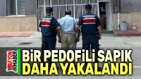 Afyon’da çocukları müstehcen yayınlarda kullanan şahıs yakalandı