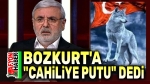 Mehmet Metiner’den Bozkurt açıklaması