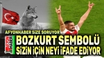 Bozkurt sembolü, sizin için neyi ifade ediyor?!..