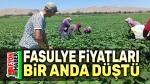 Fasulye fiyatları bir anda düştü!..
