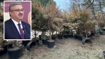 İbrahim Yurdunuseven’den Millet Bahçesi’nde kuruyan çam ağaçları ile ilgili açıklama