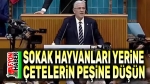 Müsavvat Dervişoğlu hükümete yüklendi!..