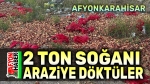 Boş araziye 2 ton soğanı kim döktü!..