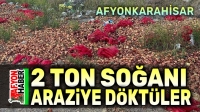 Boş araziye 2 ton soğanı kim döktü!..