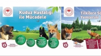 Kuduza karşı yaban hayvanlarını havadan aşılama çalışmaları devam ediyor