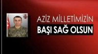 Milletimizin başı soğulsun