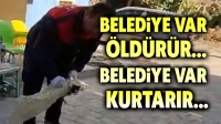 Belediye var öldürür, Belediye var kurtarır!..