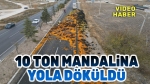 10 ton tır yola saçıldı