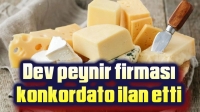 Dev peynir firması konkordato ilan etti