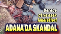 Adana’da skandal: At ve eşek iskeletleri bulundu