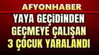 Yaya geçidinden geçmeye çalışan 3 çocuk kazada yaralandı