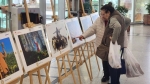 Orman ve insan fotoğraflarla anlatıldı