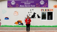 Atık gıdalar hayvan maması oluyor