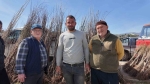 Baharın müjdecisi fidan dikim sezonu esnafları güldürdü