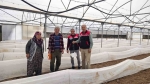 Seralarda zararlı takibi çalışmaları yapılıyor