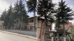 Afyon’da mahalleyi karıştıran olay: ‘Temizliği zor’ diye bu ağaçlar kesilecek mi?