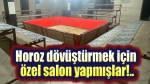 Afyon’da horoz dövüştürenlere operasyon!..