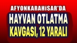 Afyon’da hayvan otlatma kavgası, 12 yaralı