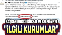 İlgili kurumlar!..