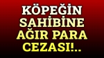 Köpeğin sahibine ceza