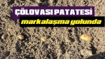 Afyon Çölovası Patatesi markalaşma yolunda