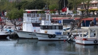 Tekirdağ’da balıkçılar kuzey rüzgarı sebebiyle 3 gündür avlanamıyor  Ask  Explain