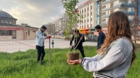 Afyon’da gönüllü gençler el ele verdi: Önce temizlediler sonra fidan diktiler