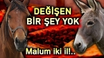 Yine skandal: Vatandaşa at eşek eti yedirdiler