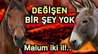 Yine skandal: Vatandaşa at eşek eti yedirdiler