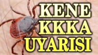 Kene uyarısı: KKKA’ya karşı tedbirli olun!..