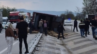 Devrilen kamyonda 53 koyun telef oldu