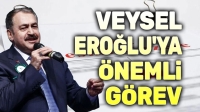 Veysel Eroğlu’ya önemli görev