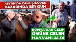 Afyon’da Canlı Hayvan Pazarı’nda Bir Gün: Konya’dan gelip önüne gelen hayvanı satın aldı!
