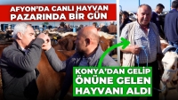 Afyon’da Canlı Hayvan Pazarı’nda Bir Gün: Konya’dan gelip önüne gelen hayvanı satın aldı!