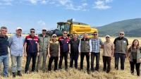 Afyon’da hububat hasadı başladı