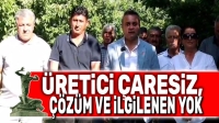 Üretici mağdur ve çaresiz, ilgilenen yok!..