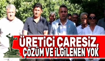 Üretici mağdur ve çaresiz, ilgilenen yok!..