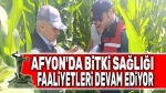Afyon’da bitki sağlığı faaliyetleri devam ediyor