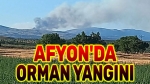 Afyon’da orman yangını