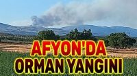 Afyon’da orman yangını