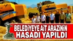 Belediyeye ait arazinin hasadı yapıldı