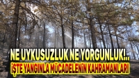 İşte yangınla mücadelenin kahramanları