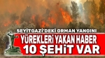 Seyitgazi’deki orman yangını: 10 şehit var