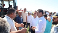 Çiftçi üretimden vazgeçme noktasına geldi