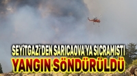 Seyitgazi’den Sarıcaova’ya sıçramıştı, yangın söndürüldü