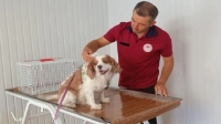 Afyon’da Kedi ve Köpek Kimliklendirme Merkezi açıldı