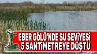 Eber Gölü’nde su seviyesi 5 santimetreye düştü