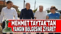 Mehmet Taytak, yangın bölgesini ziyaret etti