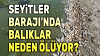 Seyitler Barajı’nda balıklar neden ölüyor?